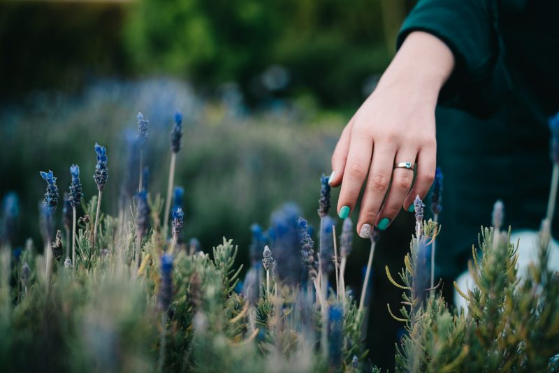 Preboda-Alejandro_Marielos-Jardines_de_Provenza-Antigua_Guatemala-bodas-juan-salazar-fotografo-Guatemala