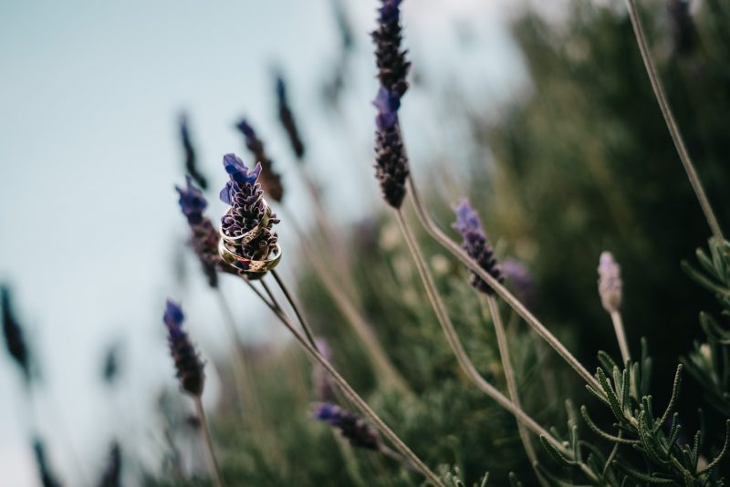 Preboda-Alejandro_Marielos-Jardines_de_Provenza-Antigua_Guatemala-bodas-juan-salazar-fotografo-Guatemala