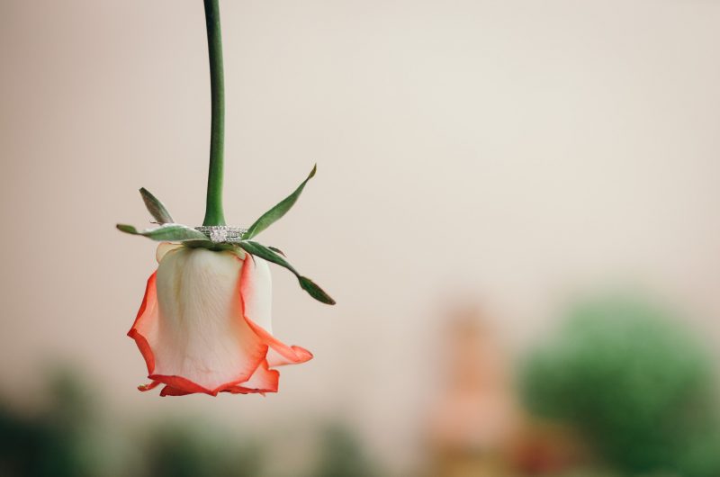 Wedding-Rafa_Cilved-Hacienda_Nueva-bodas-juan-salazar-fotografo-Guatemala