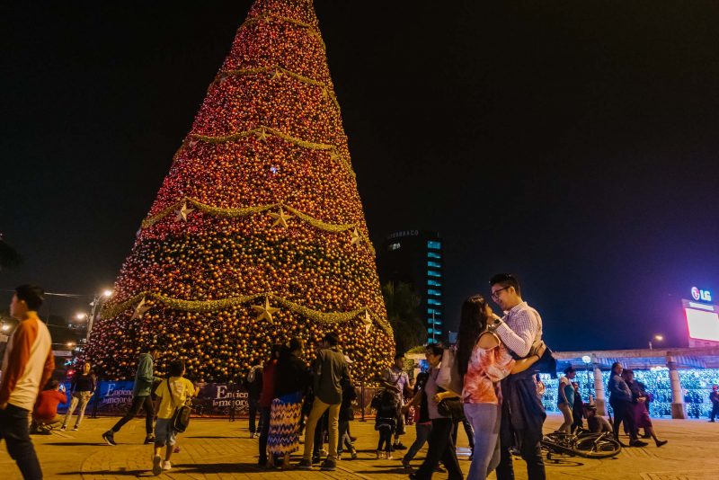 Pedida_de_mano-Engagement-Compromiso-Bodas_Juan_Salazar-Fotografo_de_bodas-Guatemala-Navidad-Arbol-Obelisco-Ciudad