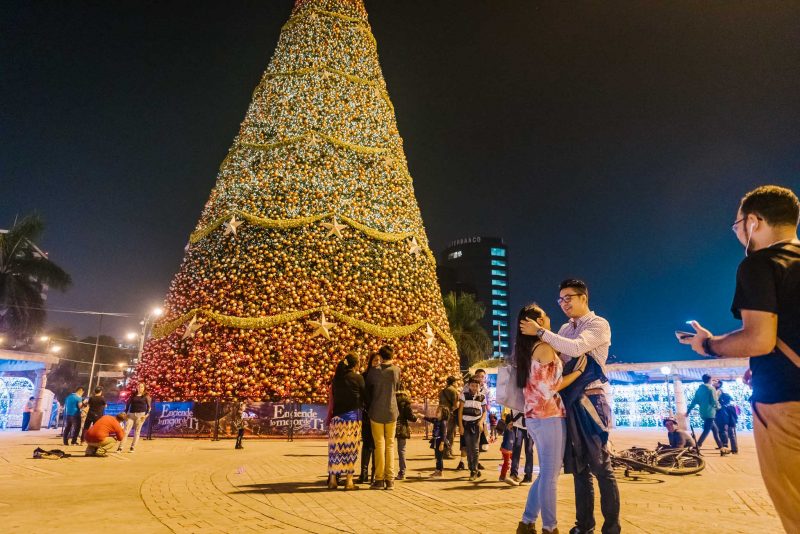 Pedida_de_mano-Engagement-Compromiso-Bodas_Juan_Salazar-Fotografo_de_bodas-Guatemala-Navidad-Arbol-Obelisco-Ciudad