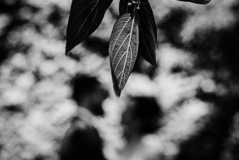 Fotografo de bodas Guatemala, Pareja en Antigua
