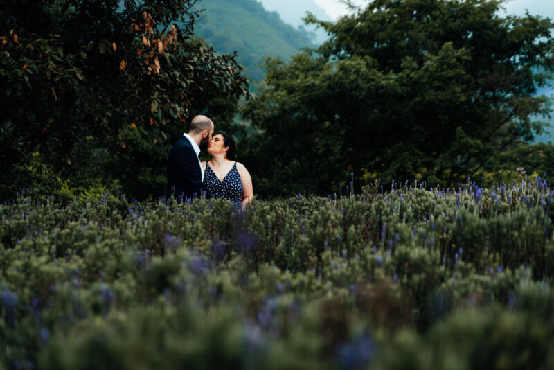 Beso de pareja en jardín del lavanda