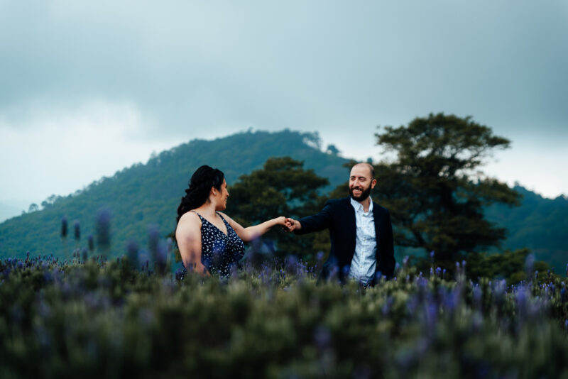 Beso de pareja en jardín del lavanda