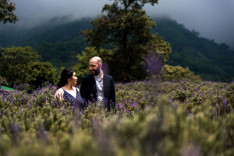 Beso de pareja en jardín del lavanda