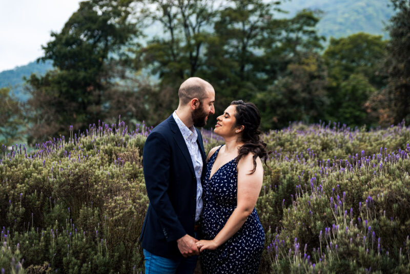 Beso de pareja en jardín del lavanda