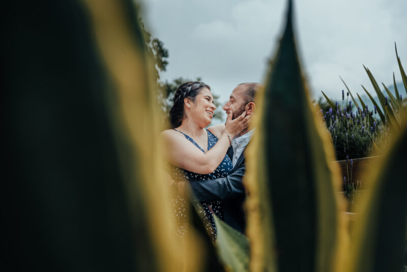 Beso de pareja en jardín del lavanda